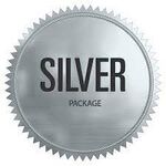 Silver Support Package, image 